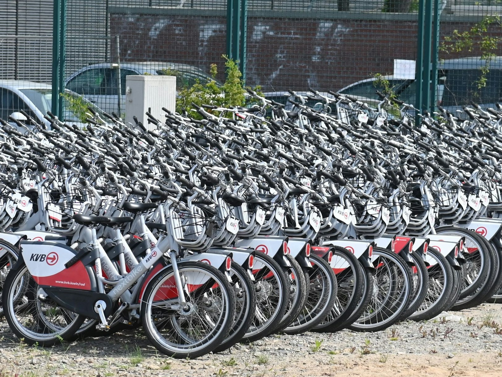 Hunderte KVB-Fahrräder stehen auf einem Gelände an der Vitalisstraße in Köln.