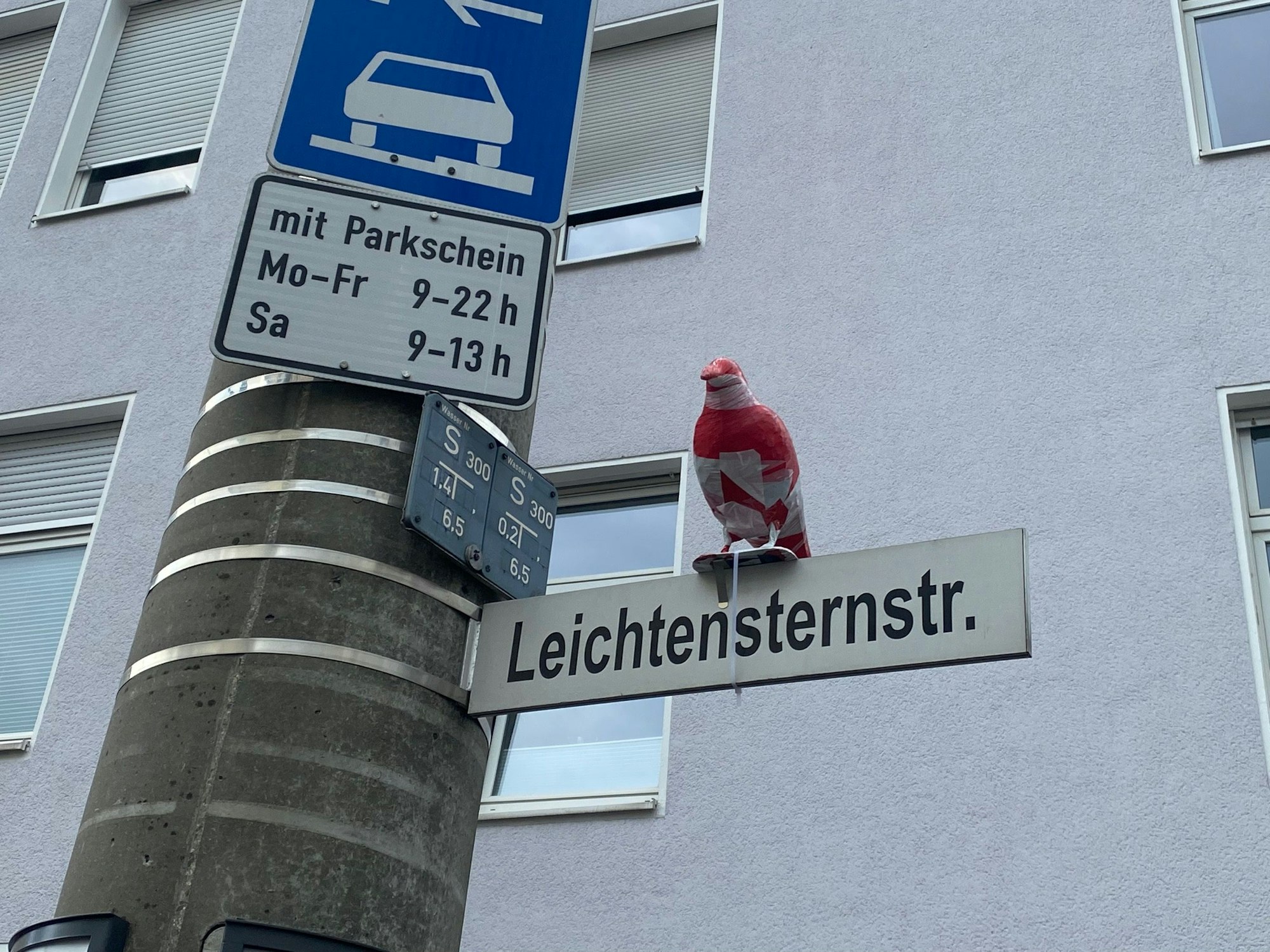 Ein mit Absperrband umwickelter Rabe sitzt auf dem Straßenschild zur Leichtensternstraße in Köln-Sülz.