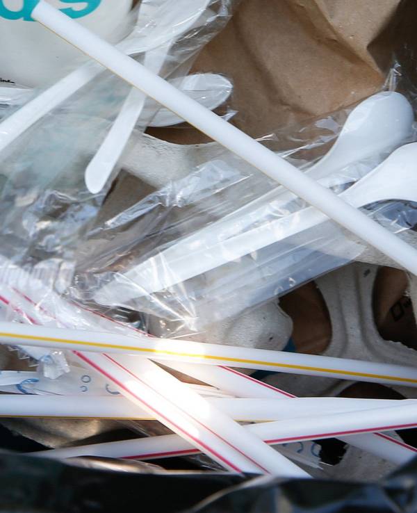 Ein Plastikbecher für einen Shake, ein Getränkebecher für Softdrinks sowie Einweggeschirr aus Plastik liegen in einem Mülleimer.