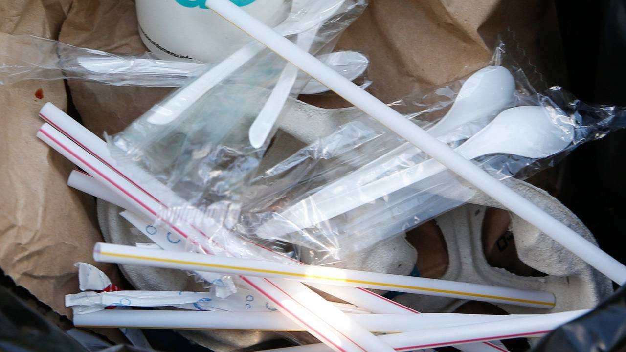 Ein Plastikbecher für einen Shake, ein Getränkebecher für Softdrinks sowie Einweggeschirr aus Plastik liegen in einem Mülleimer.