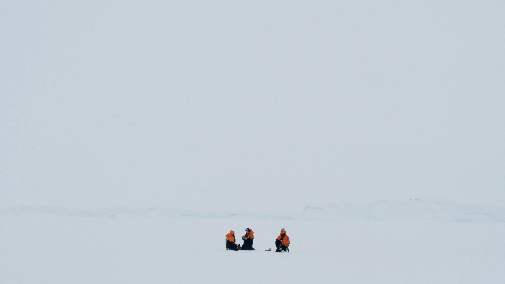 Forschende von der neuseeländischen Canterbury University haben im Schnee der Antarktis erstmals Mikroplastik entdeckt.picture alliance/dpa/University of Canterbury