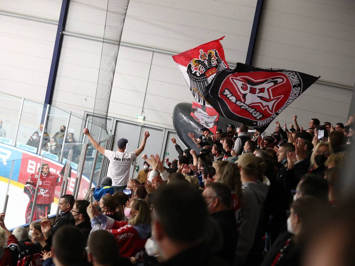 Die Kölner Fans feiern die Kölner Junghaie trotz Niederlage gegen die Junior-Eisbären Berlin