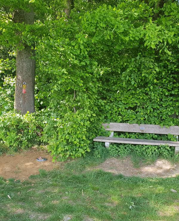 Bank an einem Wanderweg, daneben ein Erdloch.