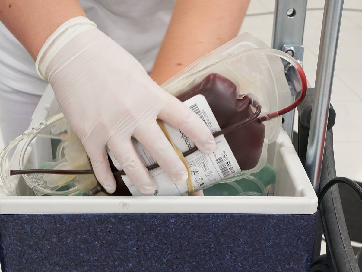 Ein Mitarbeiter des DRK-Blutspendedienstes verstaut eine Blutkonserve in einem Kühlbehälter.