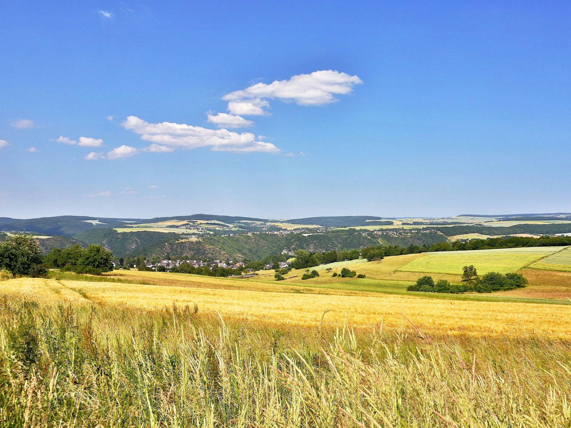 Die Landschaft im Nationalpark Hunsrück-Hochwald lädt zu zahlreichen Wanderungen ein.