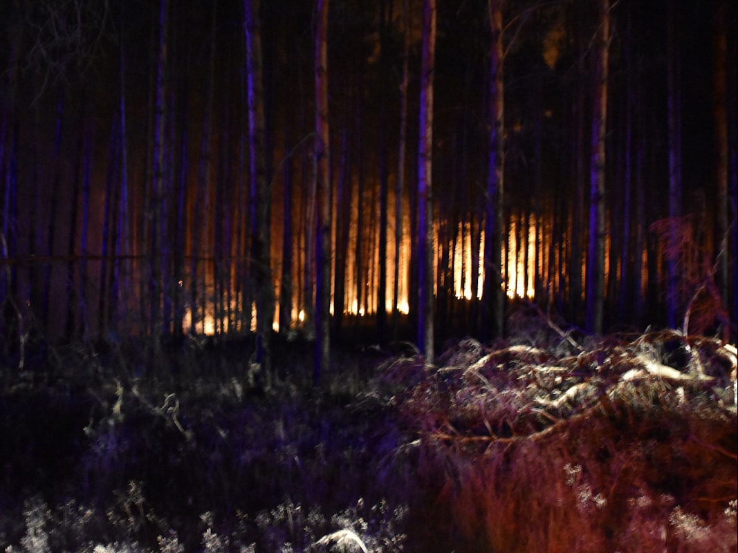 Der Wald bei Frohnsdorf brennt auf über 100 Hektar Fläche.