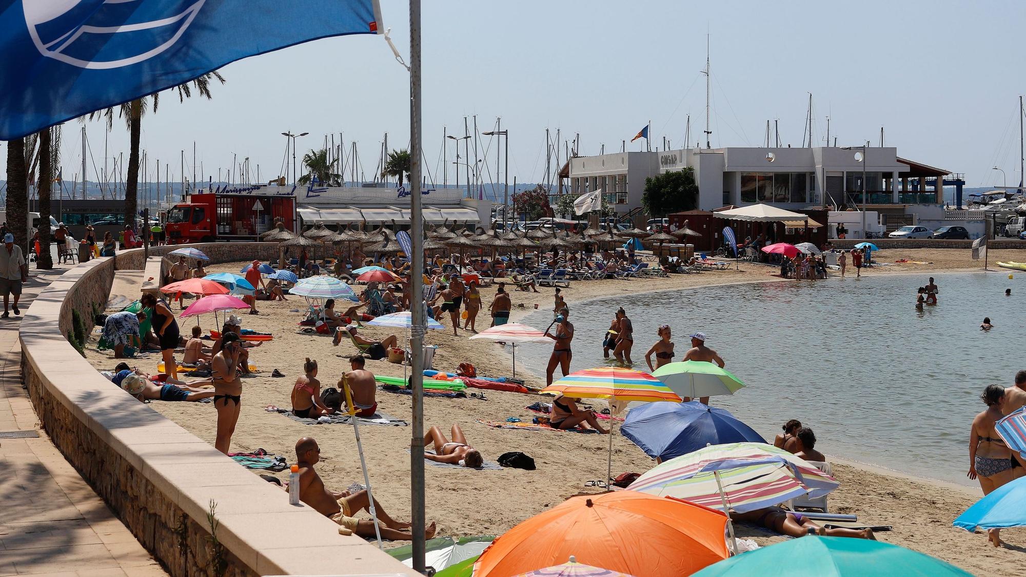 Eine blaue Flagge weht am Strand der Bucht Cala Estancia im Wind.