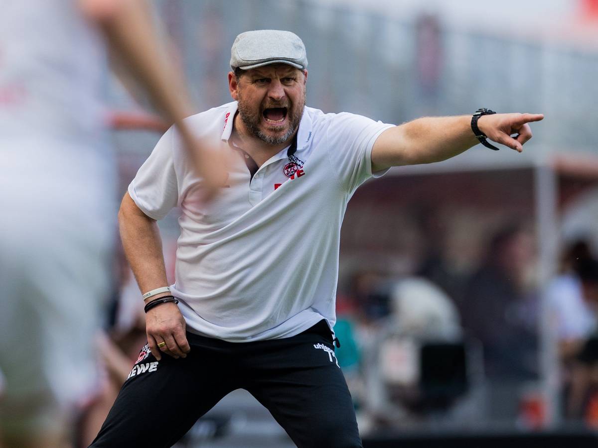 Steffen Baumgart brüllt den 1. FC Köln nach vorne.
