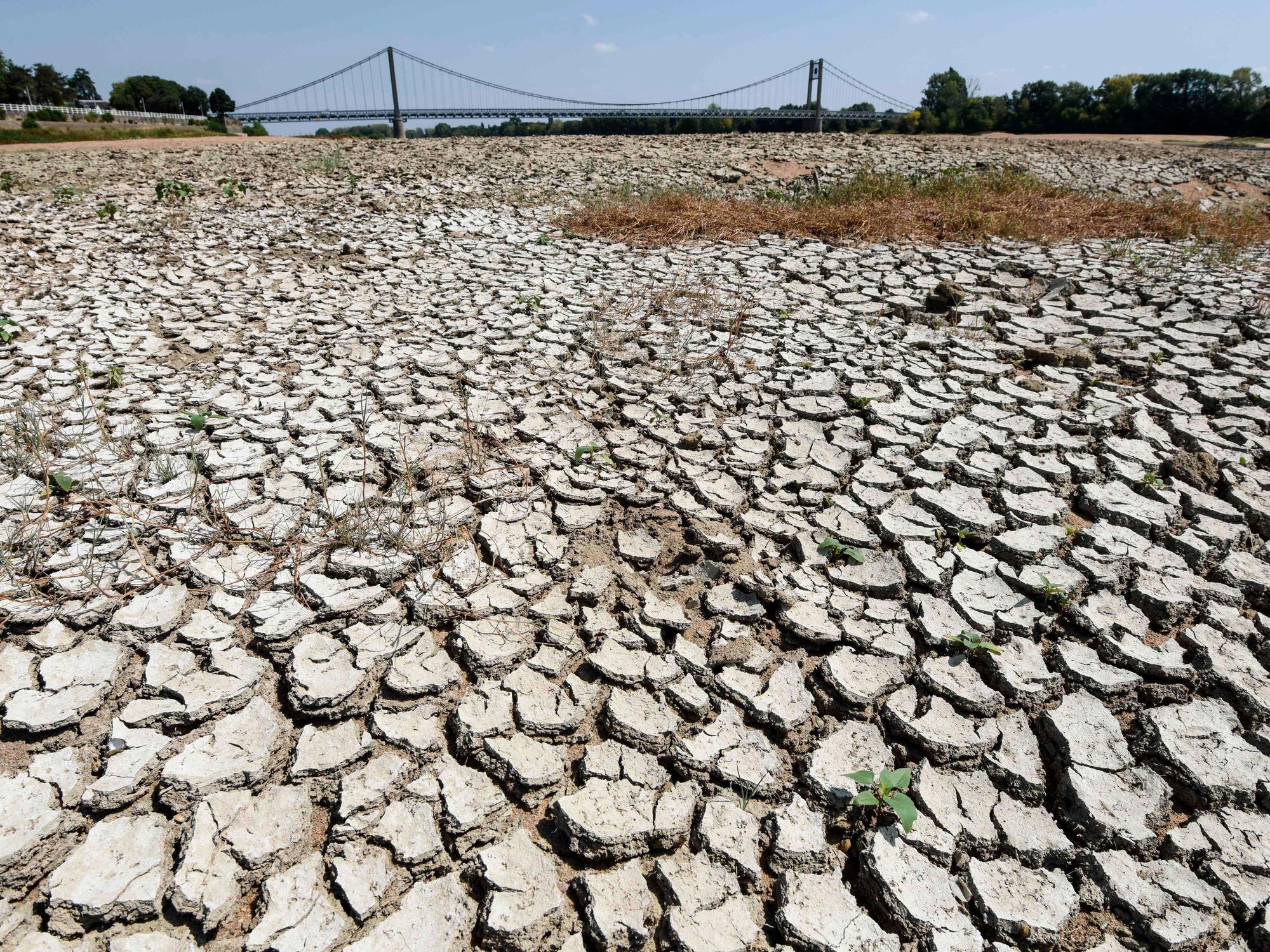 Ein trockener Teil des Loire-Flussbetts ist in Westfrankreich zu sehen. Das Foto wurde am 11.08.2020 aufgenommen.