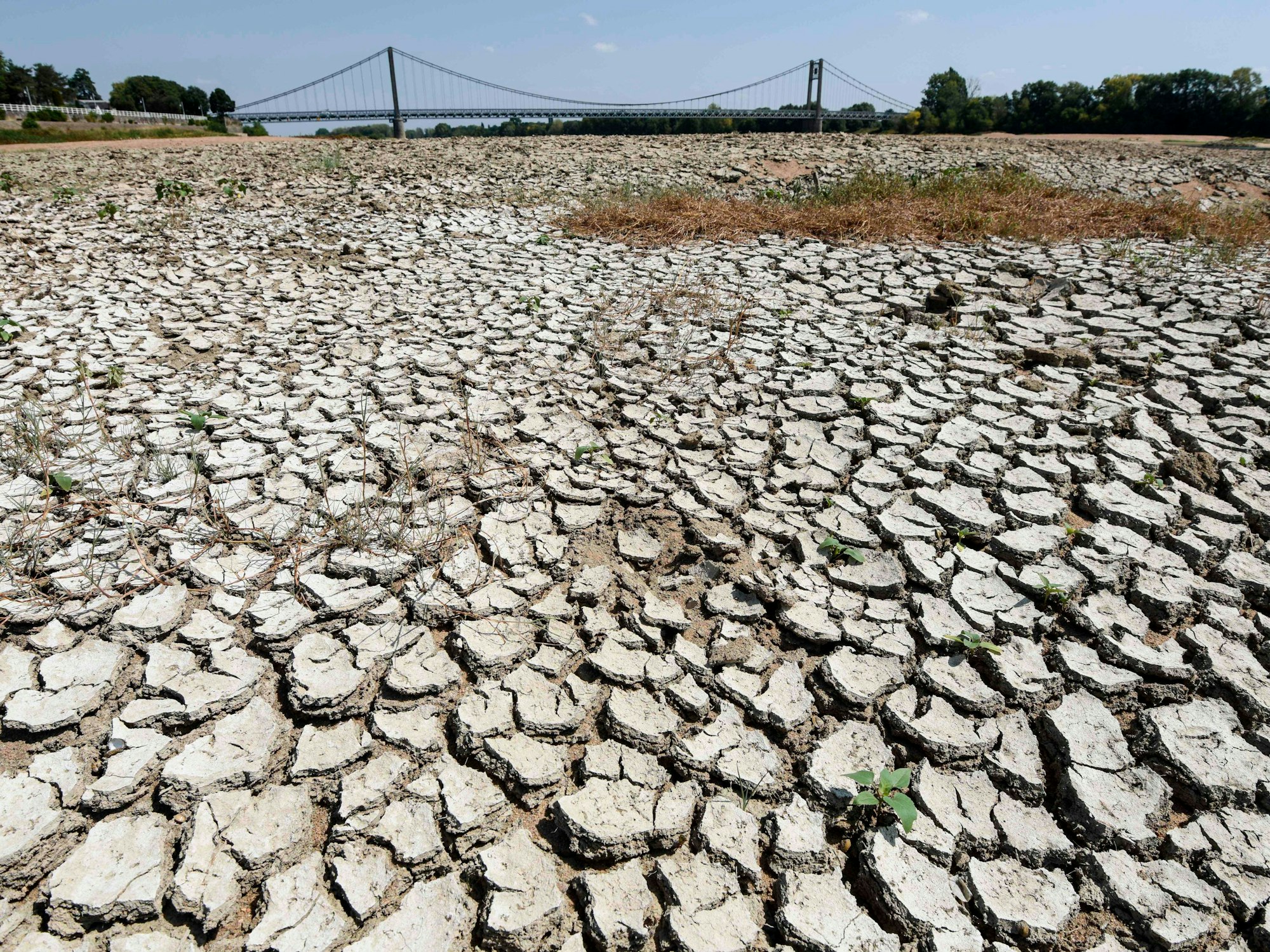 Ein trockener Teil des Loire-Flussbetts ist in Westfrankreich zu sehen. Das Foto wurde am 11.08.2020 aufgenommen.