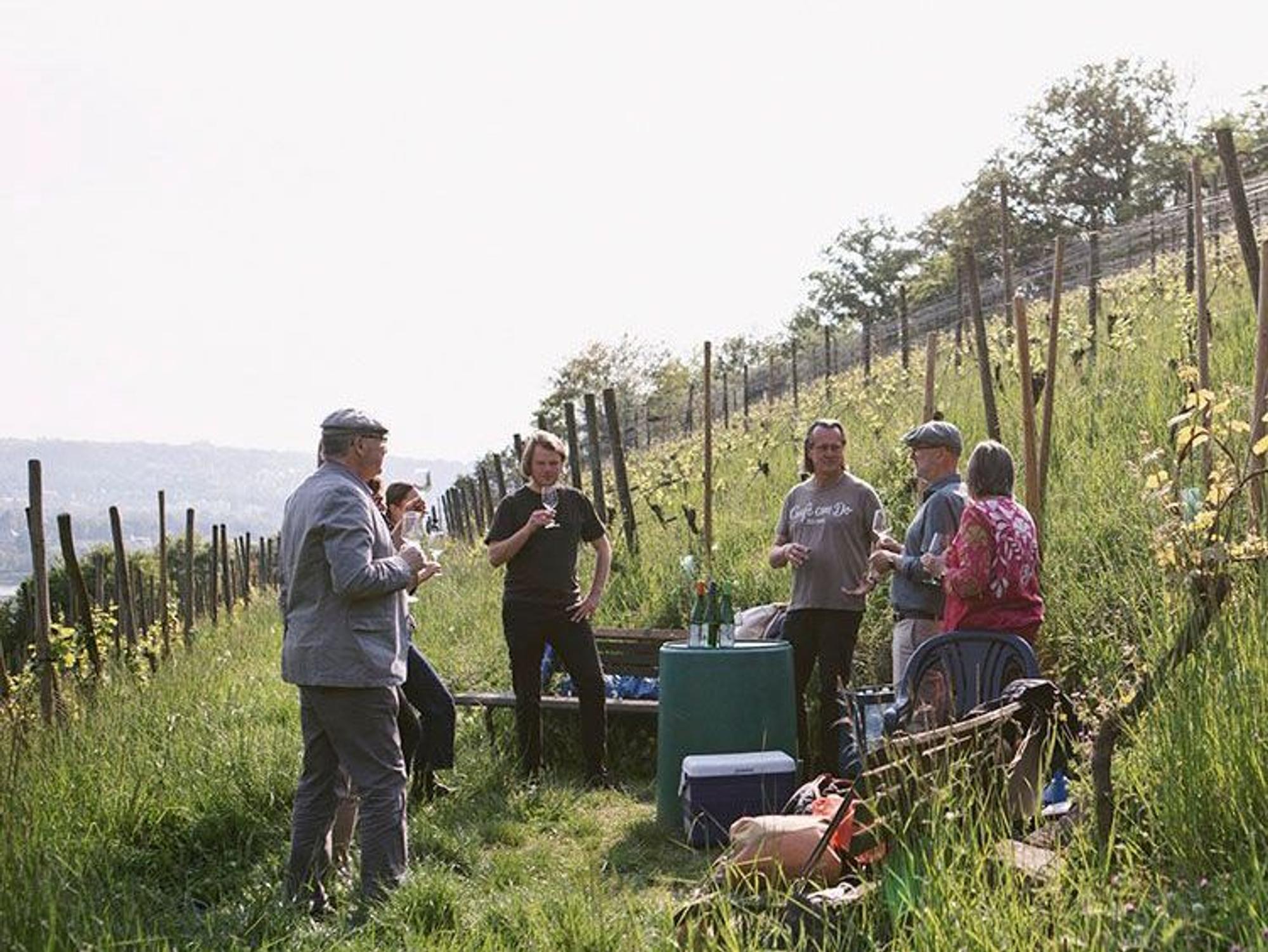 In einem Weinberg im Siebengebirge erklärt Winzer Kay Thiel einer Gruppe sein Prozedere.