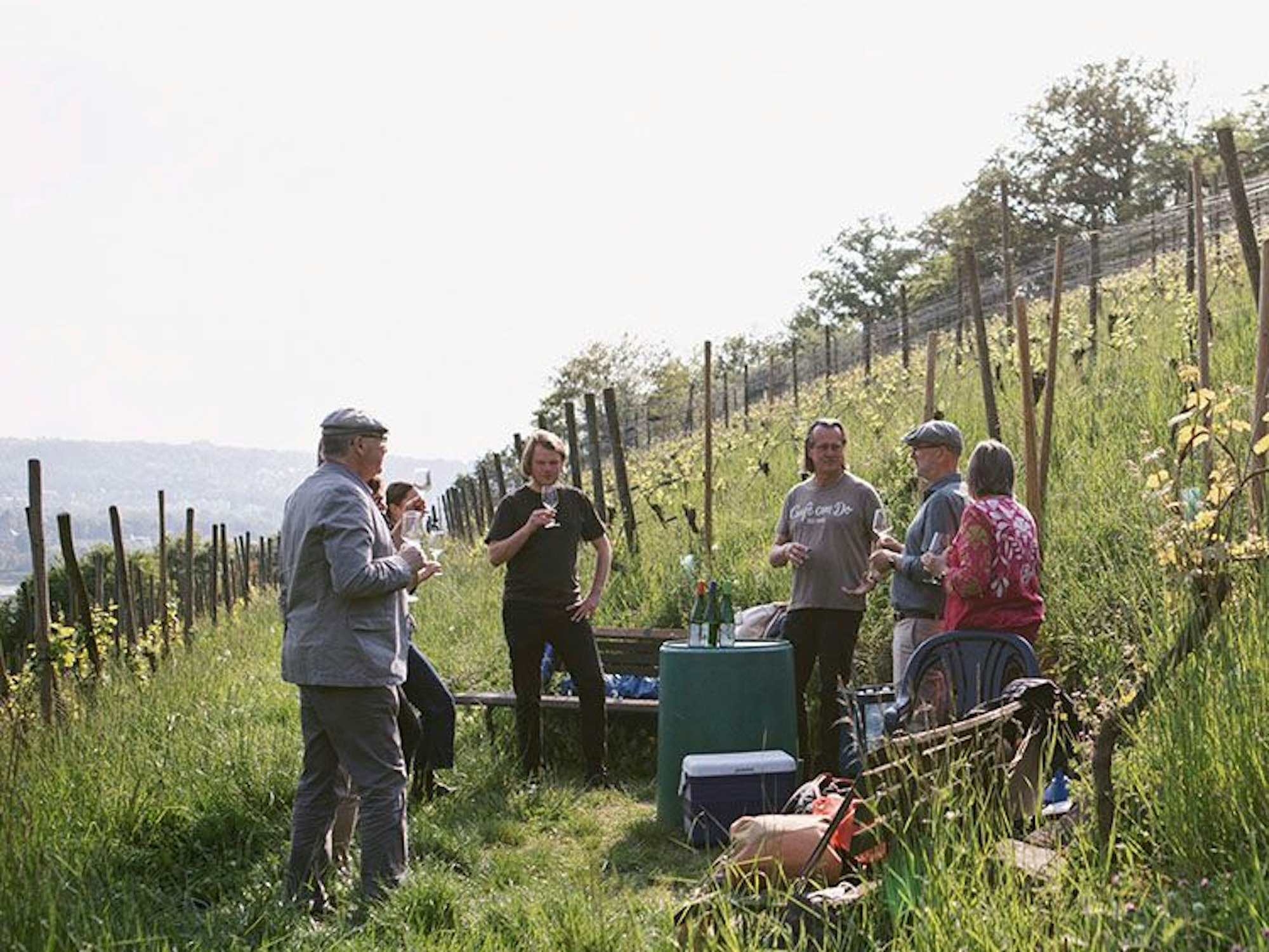 In einem Weinberg im Siebengebirge erklärt Winzer Kay Thiel einer Gruppe sein Prozedere.