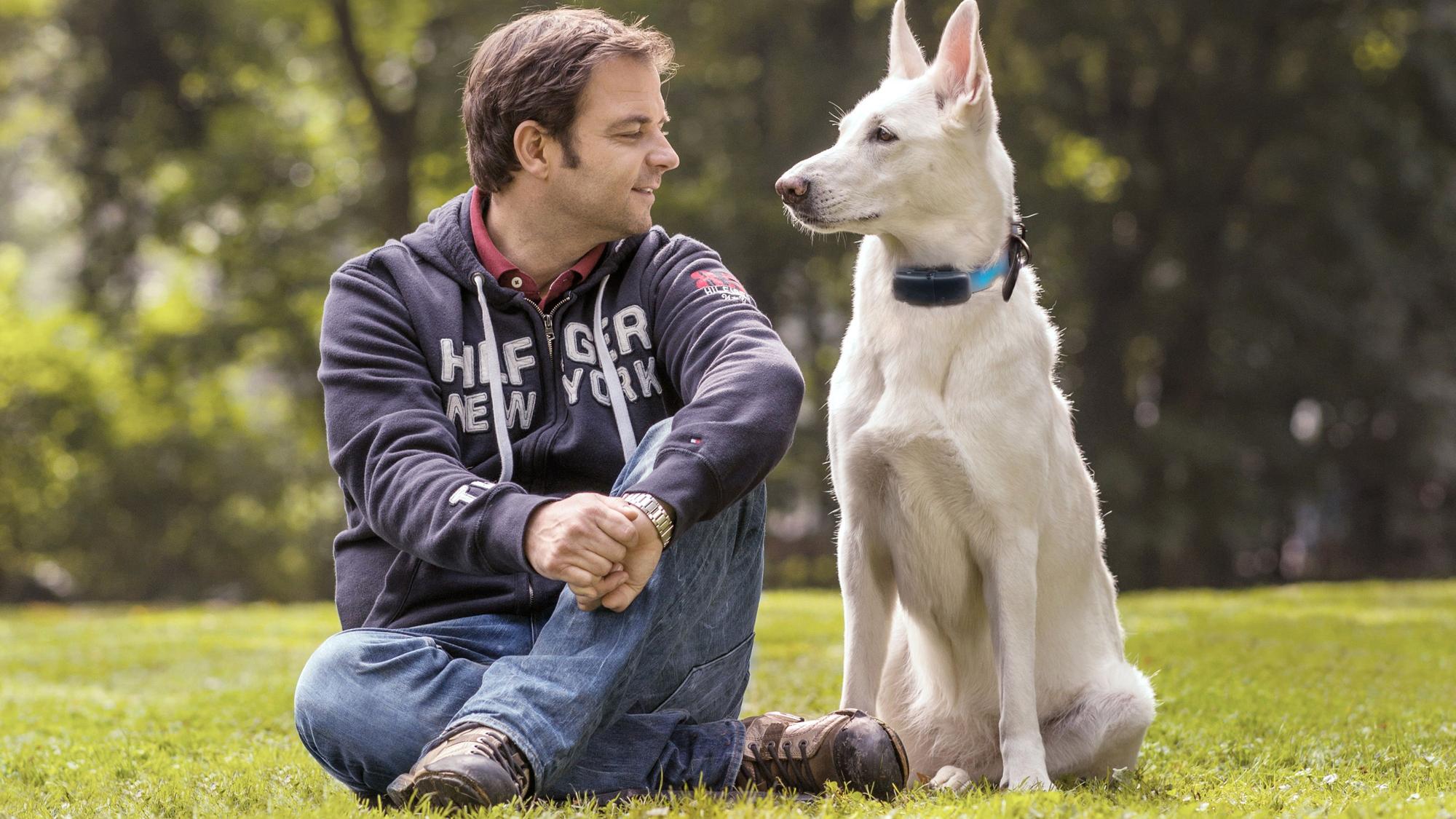 Das Foto zeigt Hundetrainer Martin Rütter sitzend auf einer Wiese mit einem Hund.