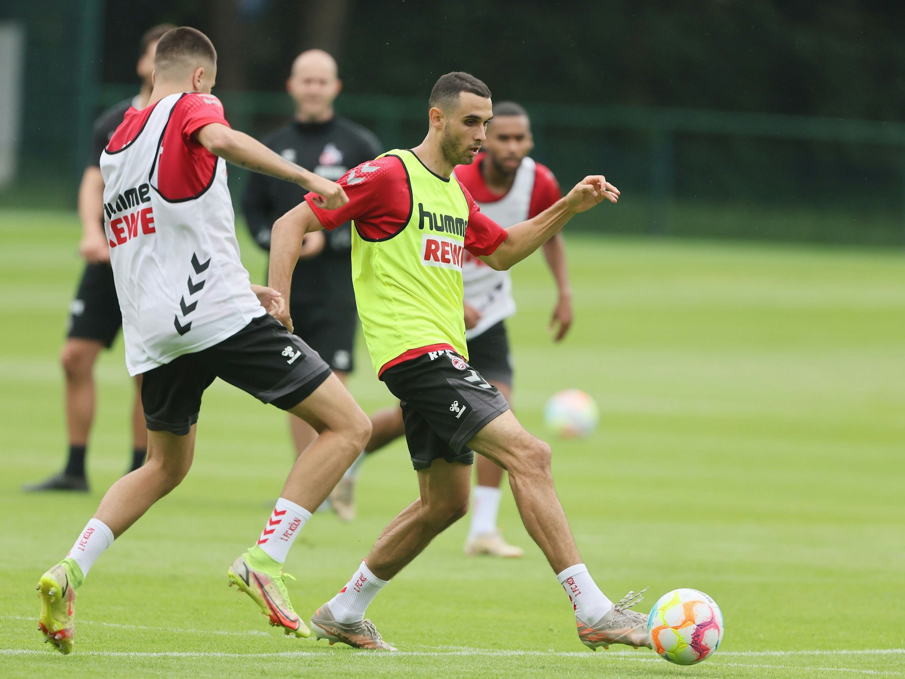 Ellyes Skhiri nimmt wieder das Training beim 1. FC Köln auf.