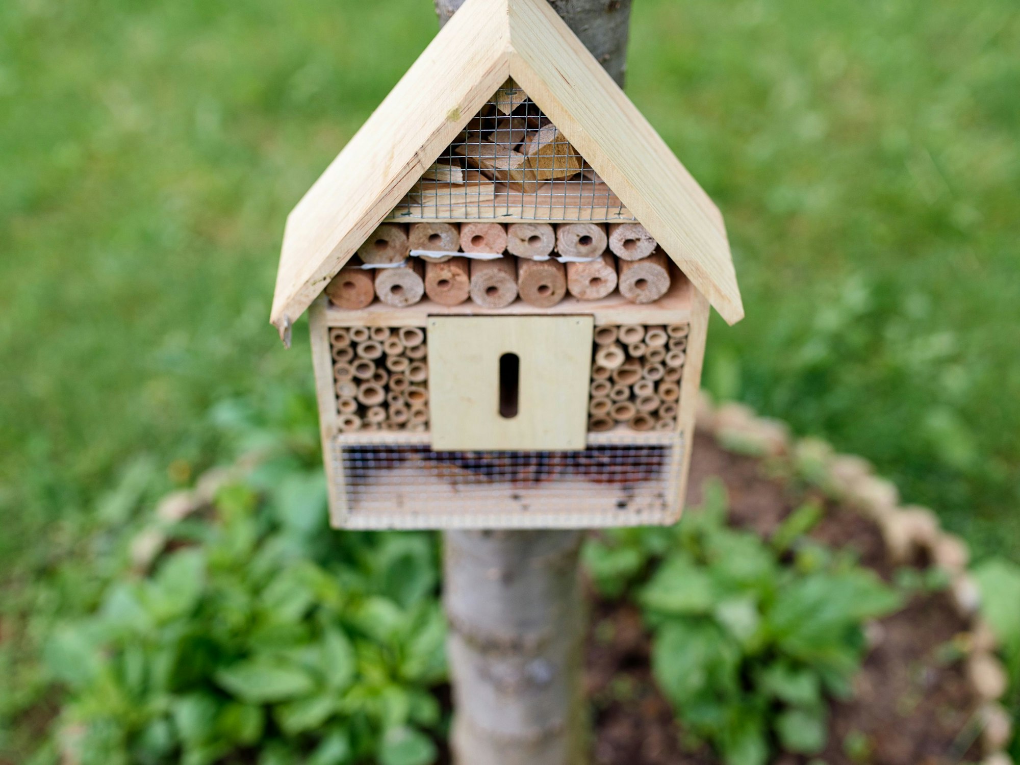 Mit Hilfe von Insektenhotels werden Nützlinge im Garten heimisch und helfen dabei, Schädlinge zu beseitigen.