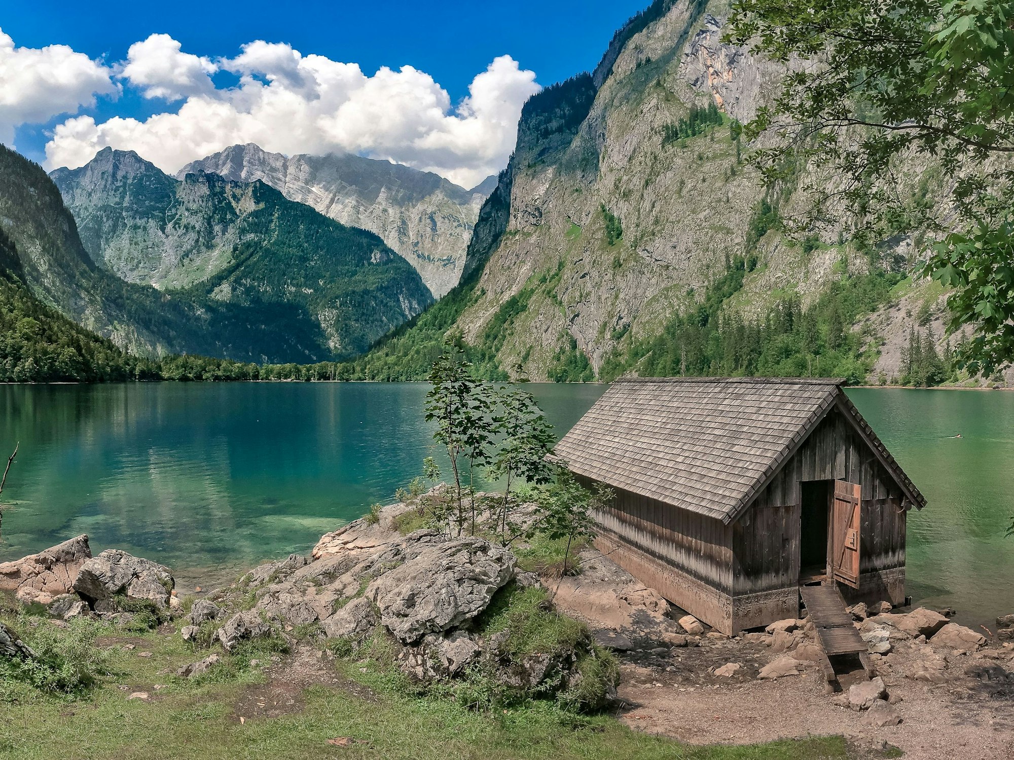 Natur pur findet man am Obersee in Bayern.