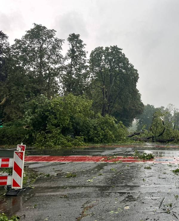 Äste liegen nach einem Unwetter auf einer Straße. Eine Gewitterfront mit Starkregen und Sturmböen ist am Donnerstagabend (30. Juni 2022) über NRW gezogen.
