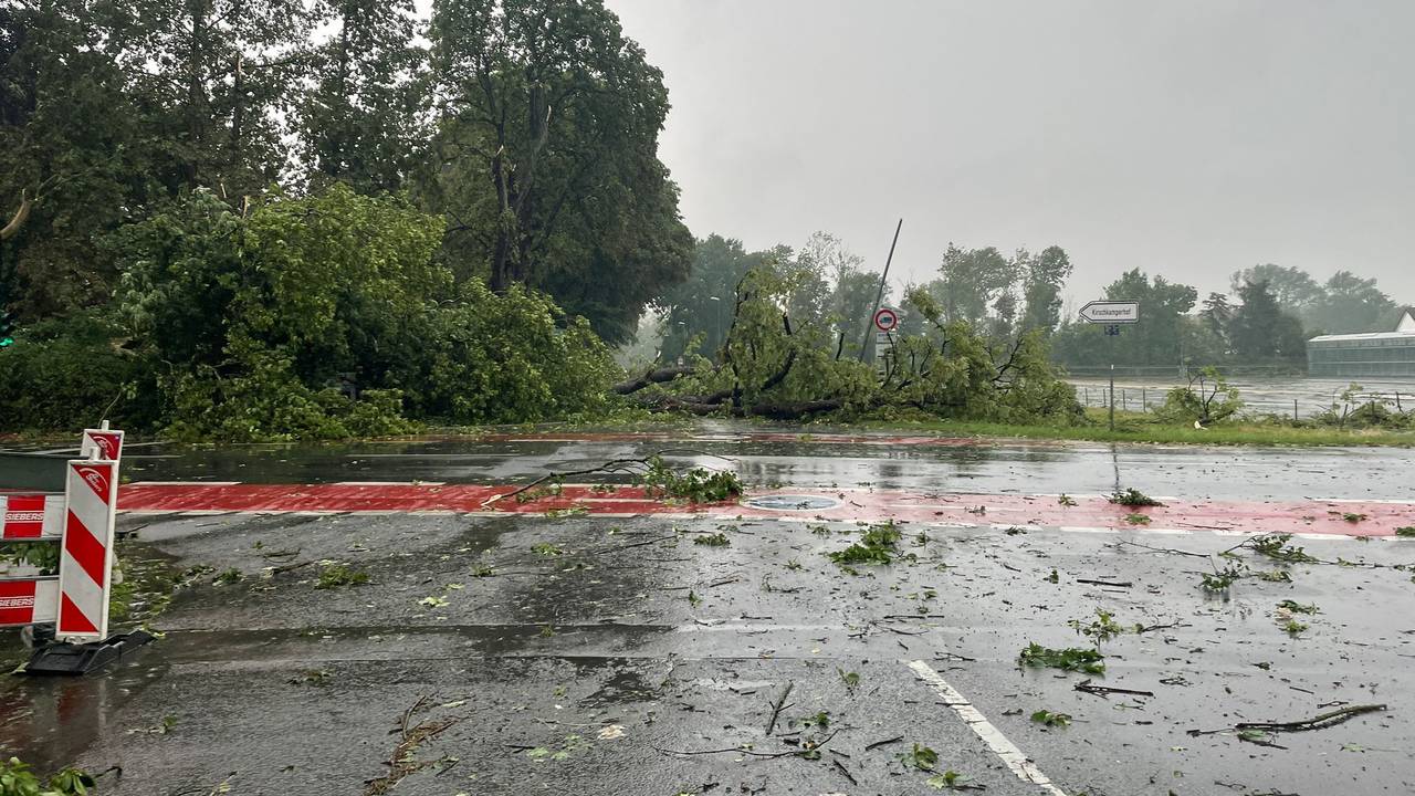 Äste liegen nach einem Unwetter auf einer Straße. Eine Gewitterfront mit Starkregen und Sturmböen ist am Donnerstagabend (30. Juni 2022) über NRW gezogen.
