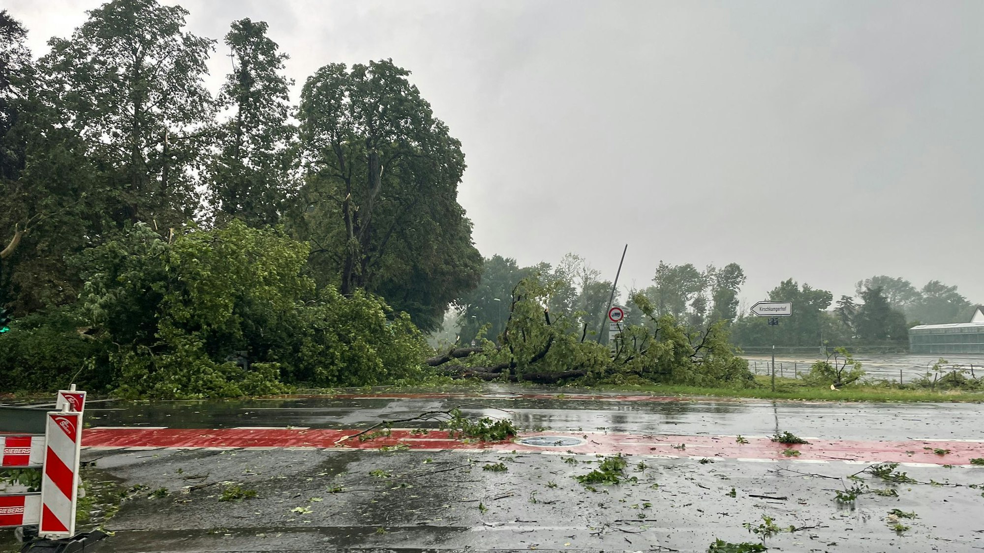 Äste liegen nach einem Unwetter auf einer Straße. Eine Gewitterfront mit Starkregen und Sturmböen ist am Donnerstagabend (30. Juni 2022) über NRW gezogen.