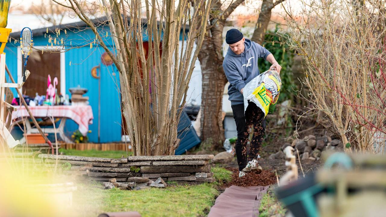 Jean Hinz verteilt Rindenmulch auf einem neu angelegten Weg in seinem Kleingarten in Lüneburg. Das Foto wurde Ende Februar 2021 aufgenommen. In der Corona-Krise hat das Interesse am Kleingarten stark zugenommen. Vor allem in den Städten ist die Nachfrage groß.