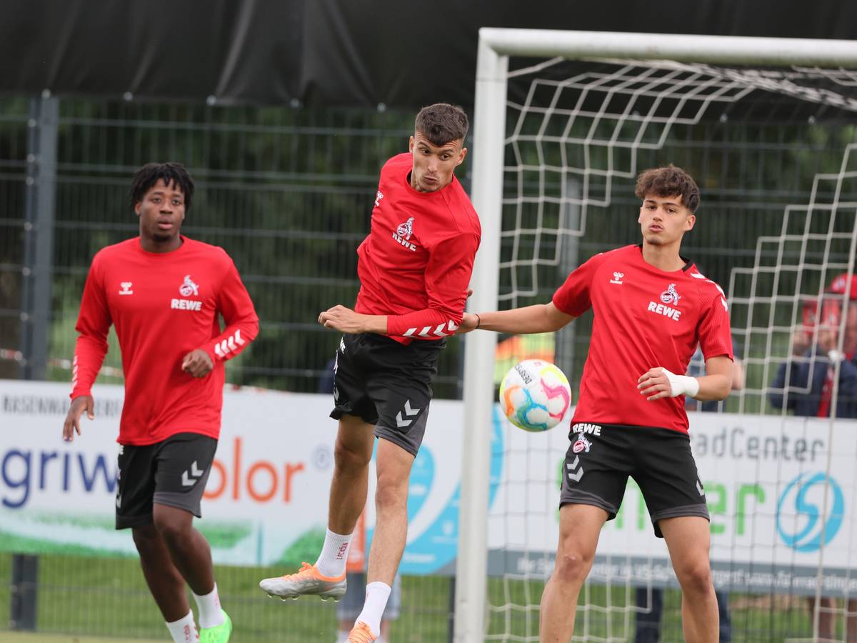 Dejan Ljubicic im Training des 1. FC Köln.