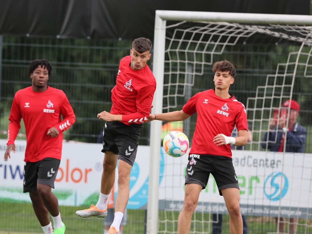 Dejan Ljubicic im Training des 1. FC Köln.