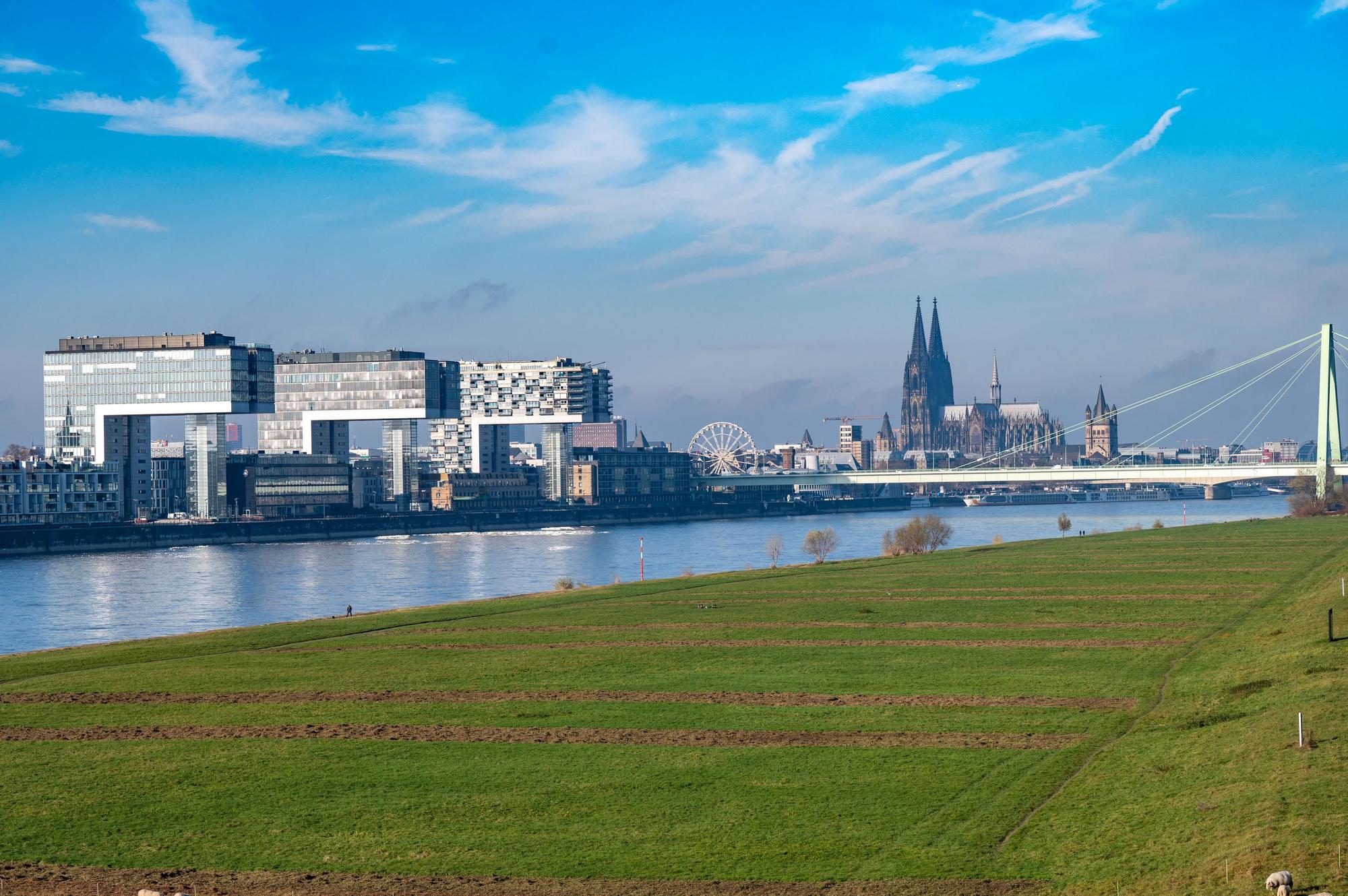 Blick auf die Poller Wiesen mit den Kranhäusern und dem Dom im Hintergrund