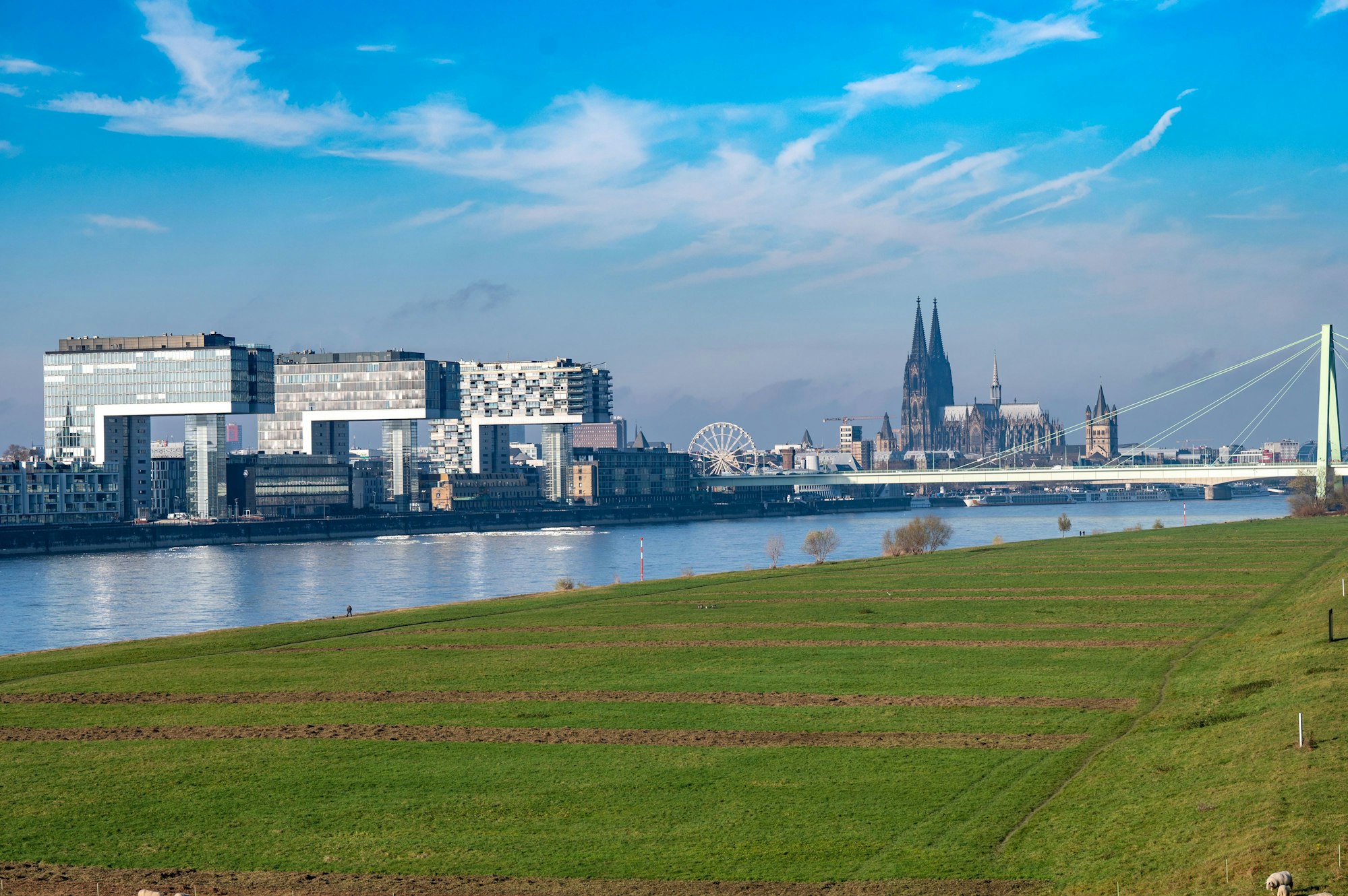 Blick auf die Poller Wiesen mit den Kranhäusern und dem Dom im Hintergrund