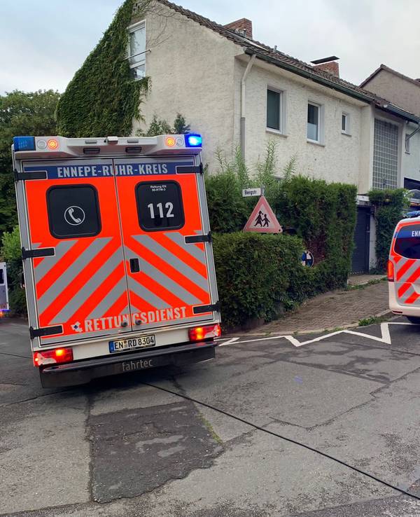 Feuerwehr mit mehreren Autos vor Wohnhäusern und einem Waldgebiet.