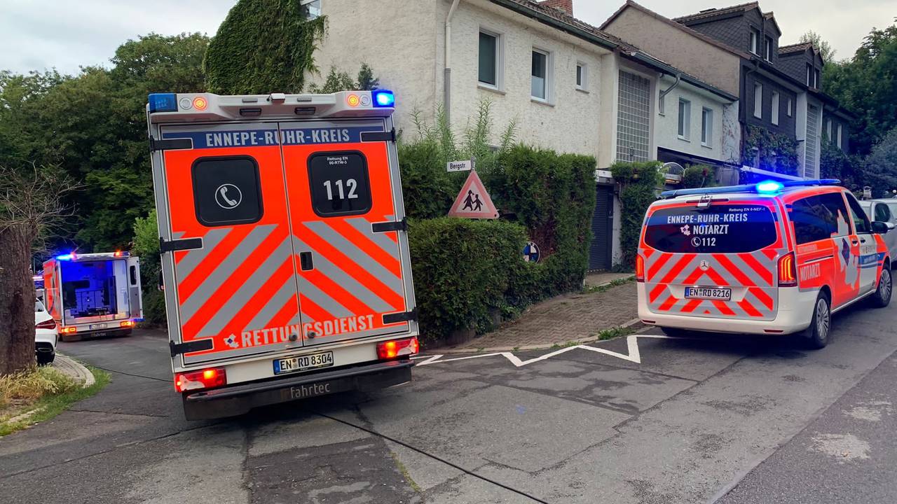 Feuerwehr mit mehreren Autos vor Wohnhäusern und einem Waldgebiet.