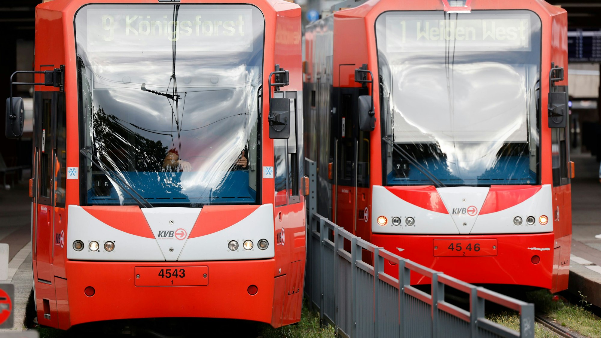 Straßenbahnen der Kölner Verkehrsbetriebe (KVB) stehen an der Haltestelle Heumarkt.