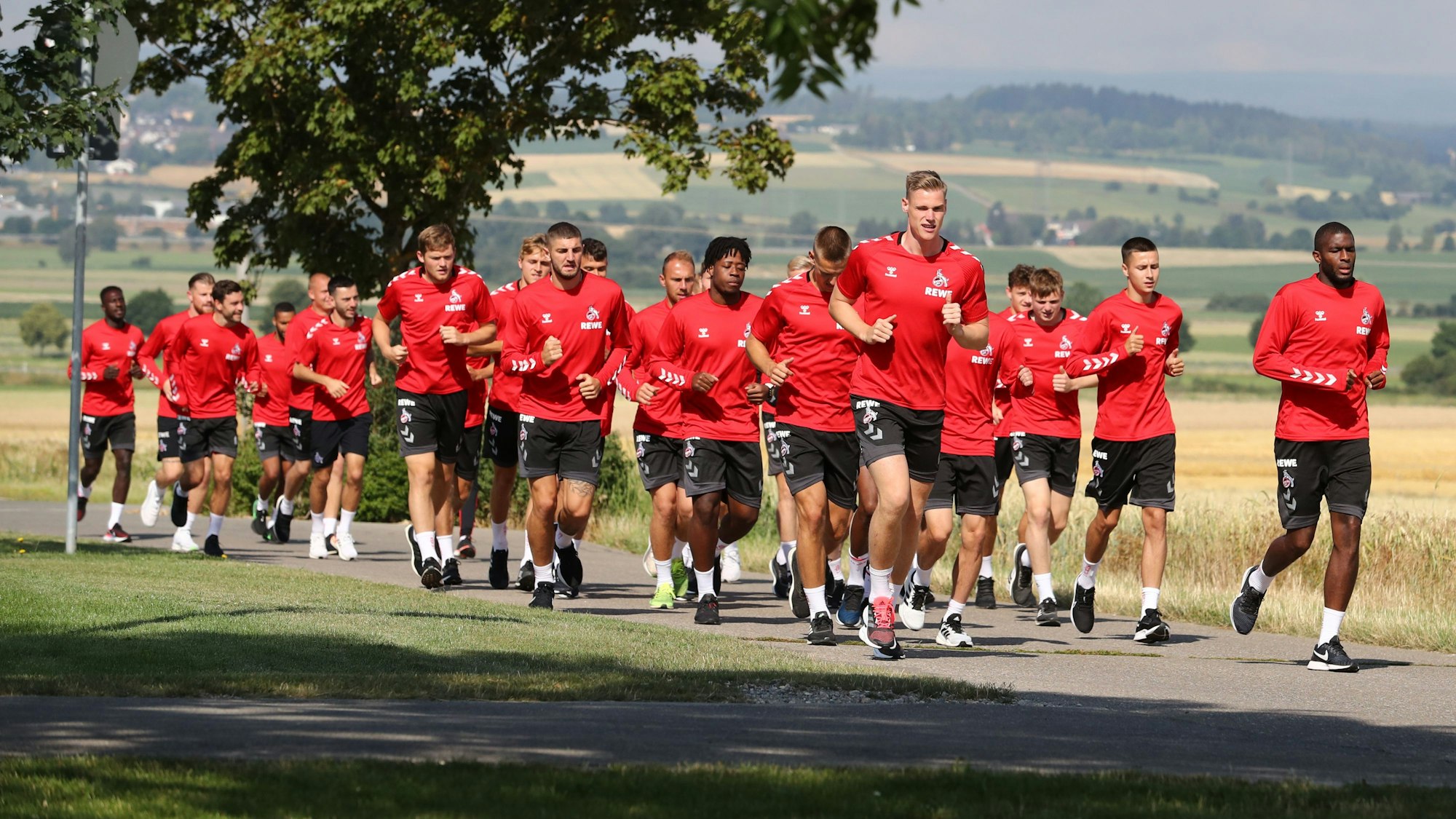 Die Profis des 1. FC Köln laufen beim Training.