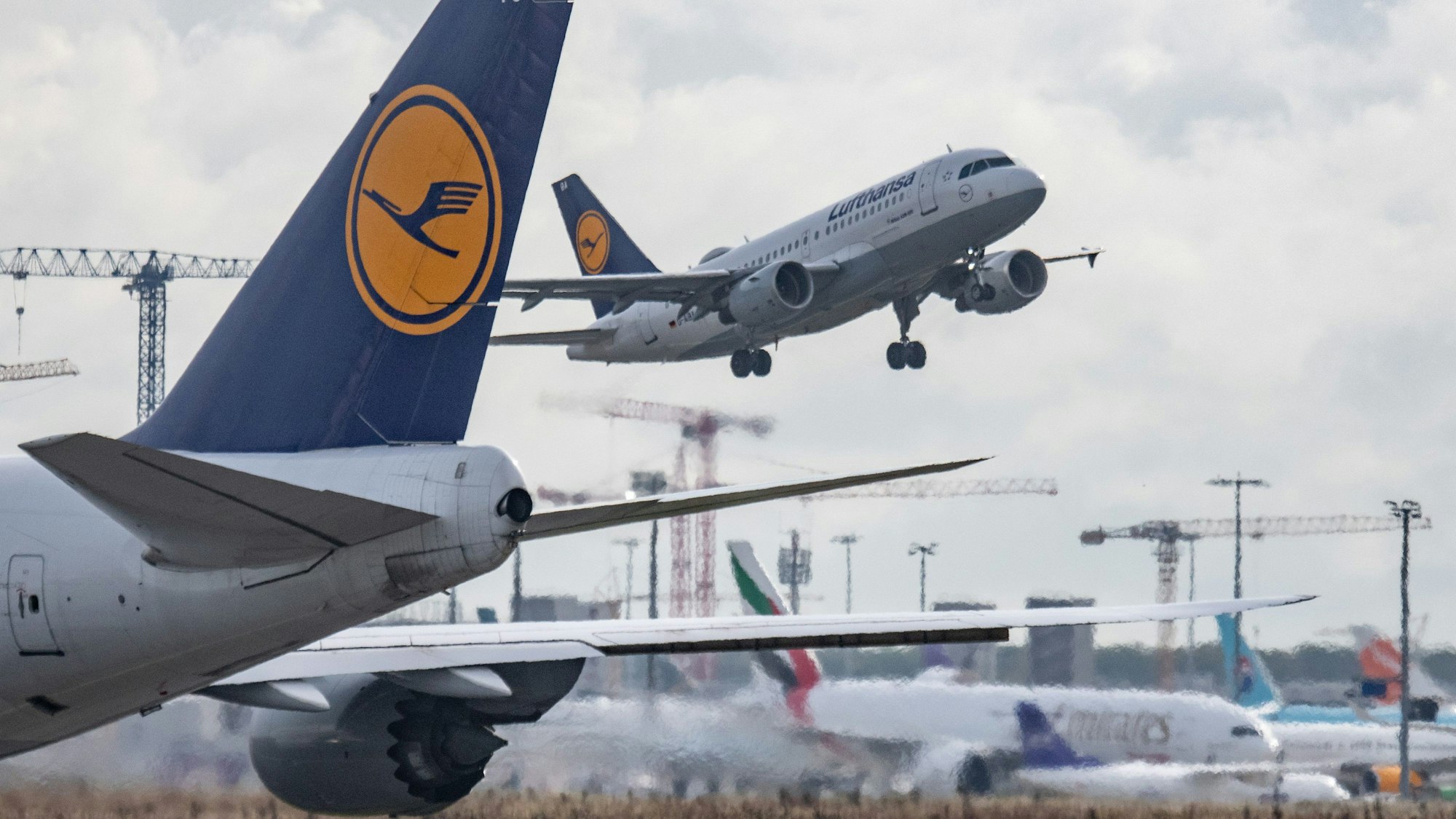 Eine Passagiermaschine der Lufthansa landet auf dem Flughafen Frankfurt.