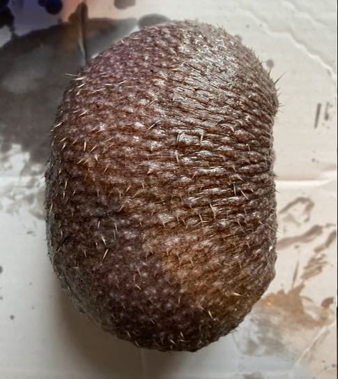 Ein Igel, der wie eine Avocado aussieht