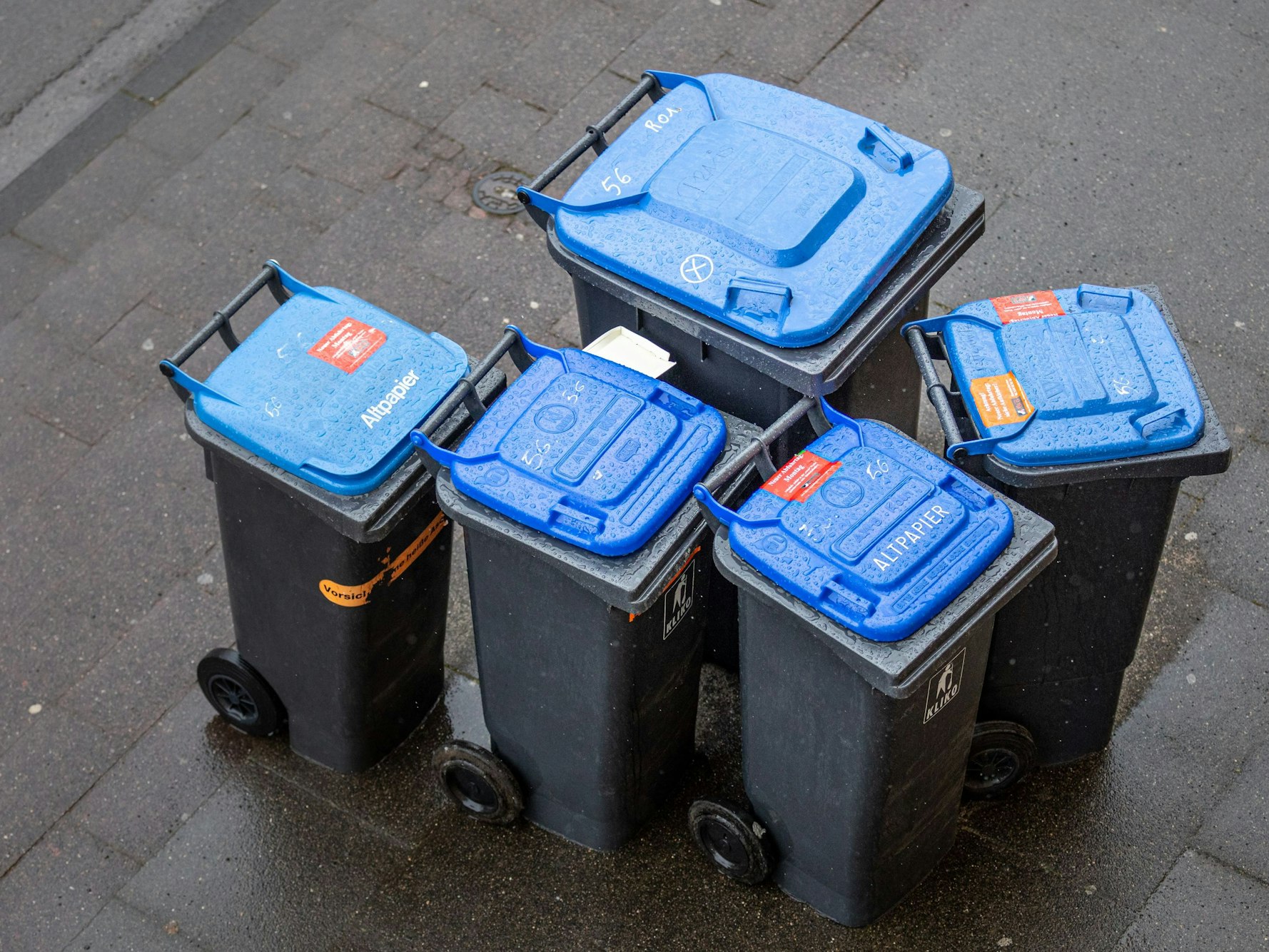 Abfalltonnen mit blauem Deckel, umgangssprachlich auch „Blaue Tonne“ genannt, für Altpapier stehen zur Abholung der AWB (Kölner Abfallwirtschaftsbetriebe) am Straßenrand.