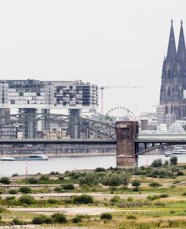 Blick auf den Rhein bei einem Pegel von 154cm - im Hintergrund ist der Kölner Dom zu sehen.