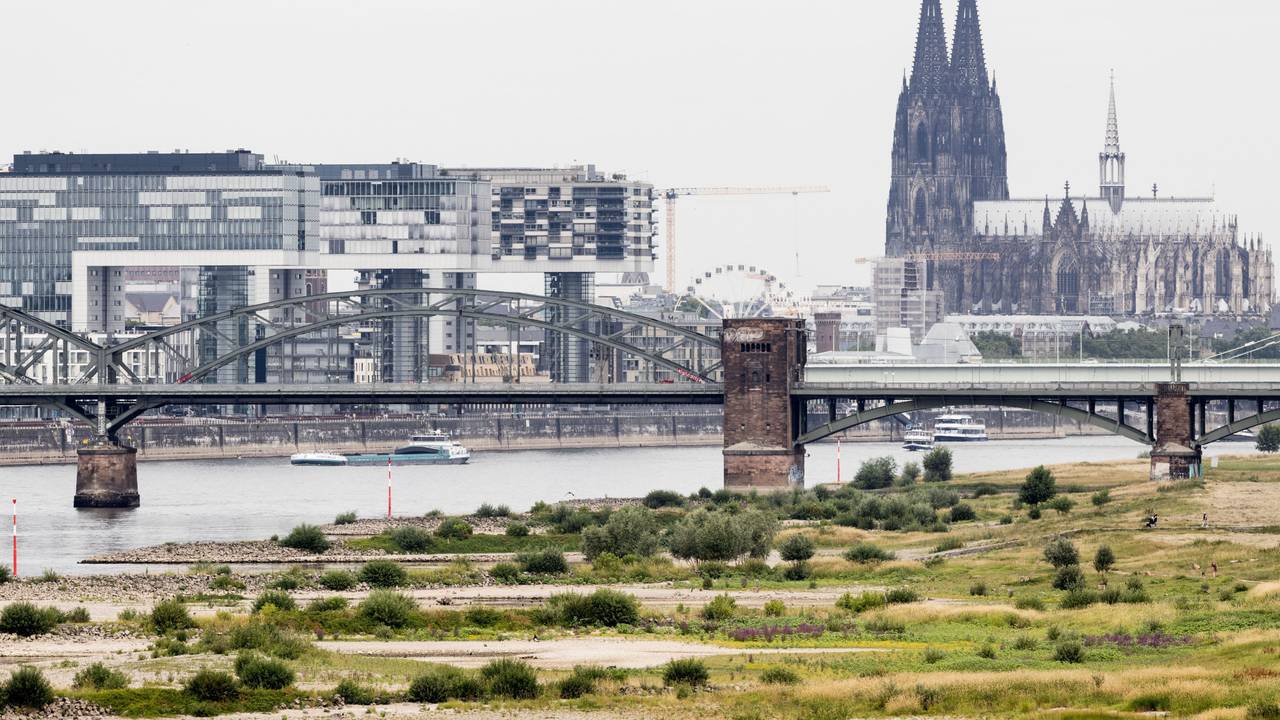 Blick auf den Rhein bei einem Pegel von 154cm - im Hintergrund ist der Kölner Dom zu sehen.