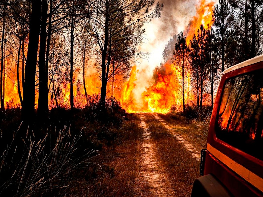 Dieses von der Feuerwehr zur Verfügung gestellte Foto zeigt einen Flächenbrand am Freitag (15. Juli) in Landiras.