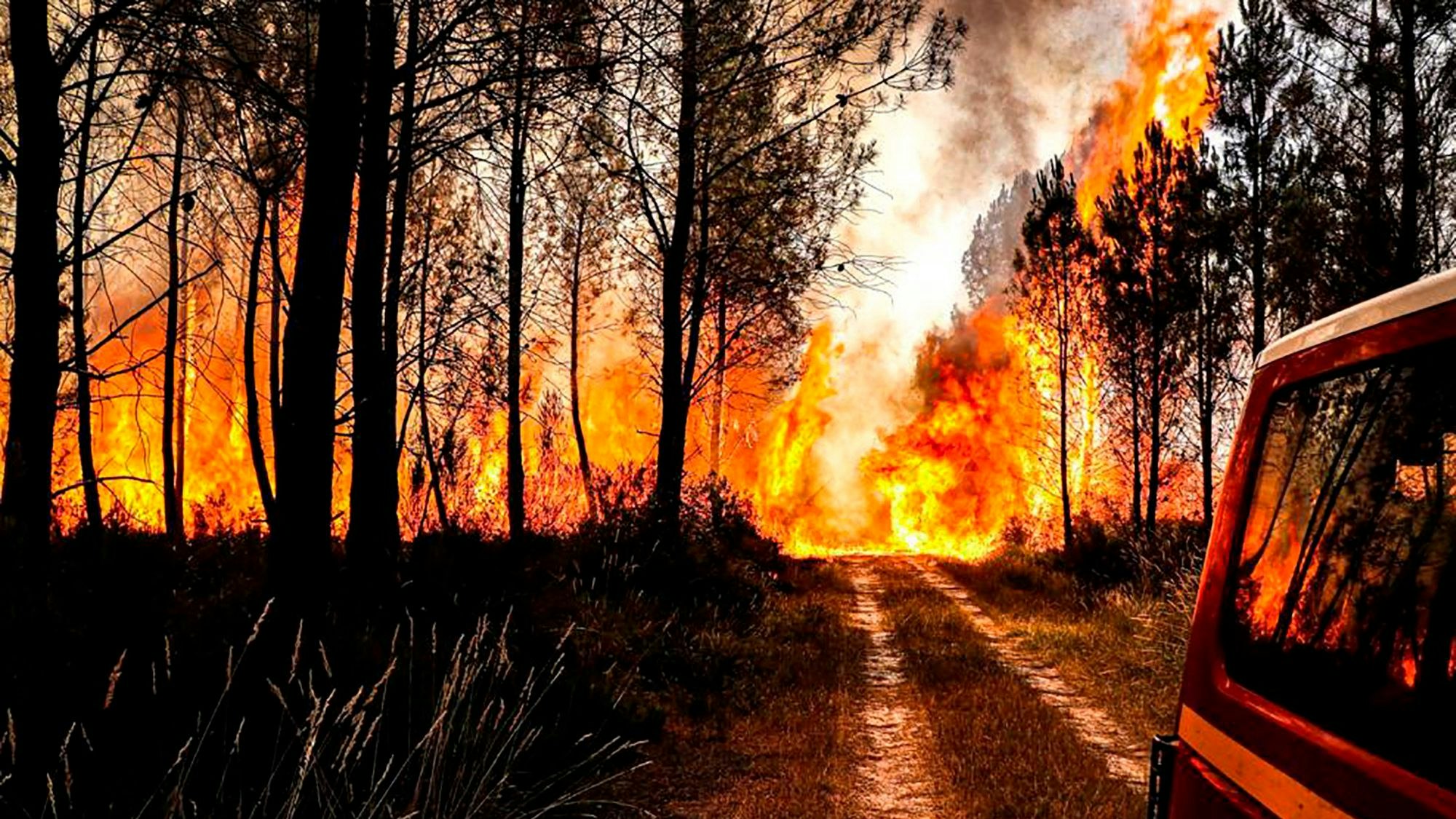 Dieses von der Feuerwehr zur Verfügung gestellte Foto zeigt einen Flächenbrand am Freitag (15. Juli) in Landiras.