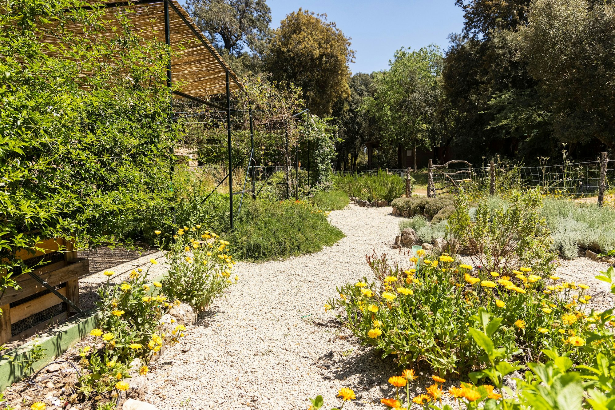 Ein Blick in das Gelände der „Fundación Vida Silvestre Mediterránea“. Auf dem Bild sieht man einen Kräutergarten.