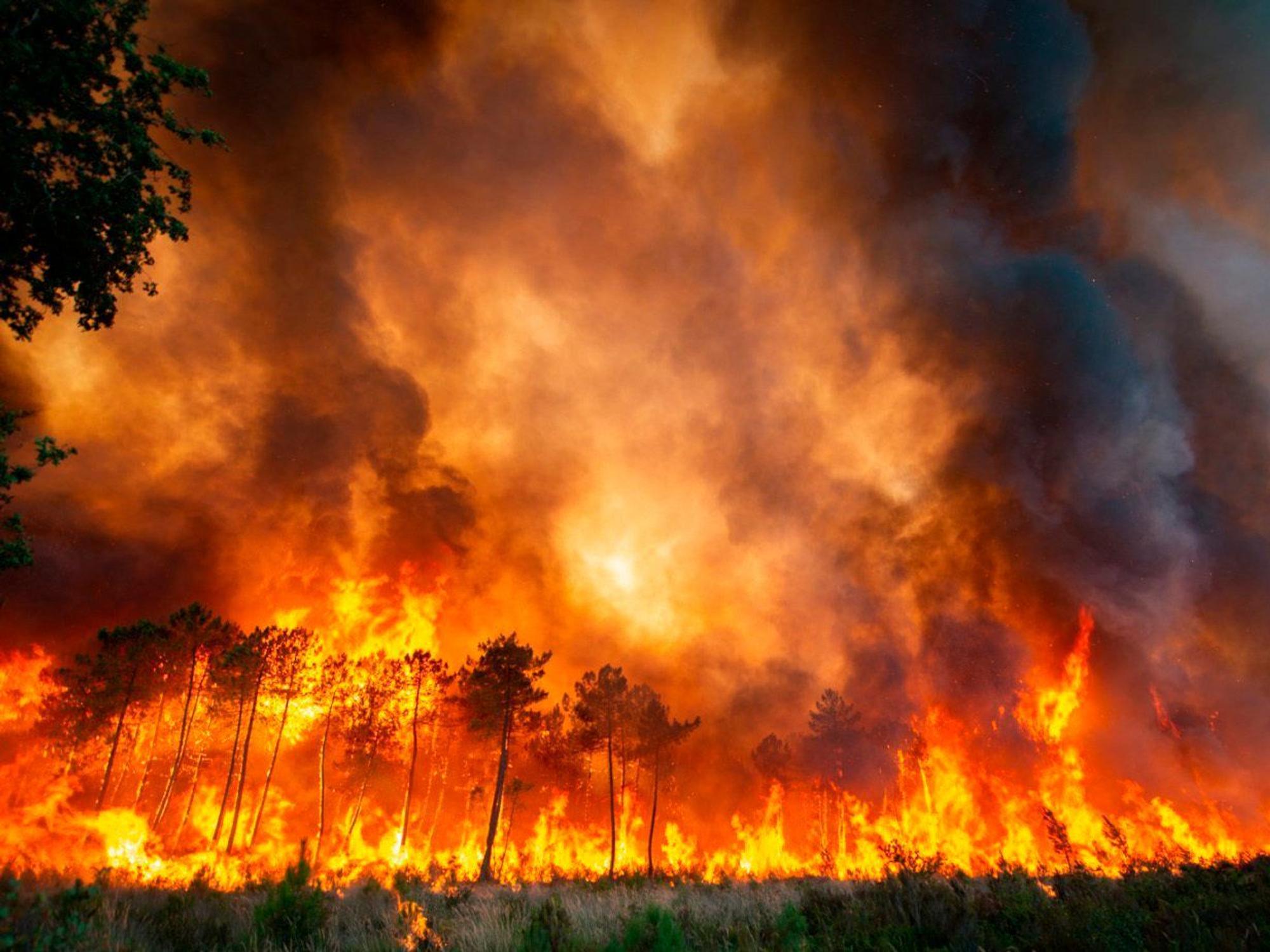 Frankreich, Landiras: Dieses von der Feuerwehr der Region Gironde zur Verfügung gestellte Foto vom 16. Juli 2022 zeigt einen Waldbrand im Südwesten Frankreichs.