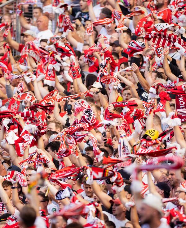 Fans des 1. FC Köln winken mit Schals.