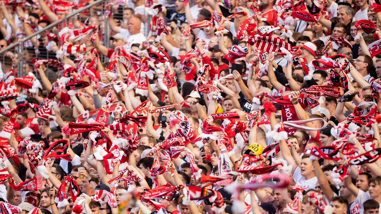 Fans des 1. FC Köln winken mit Schals.