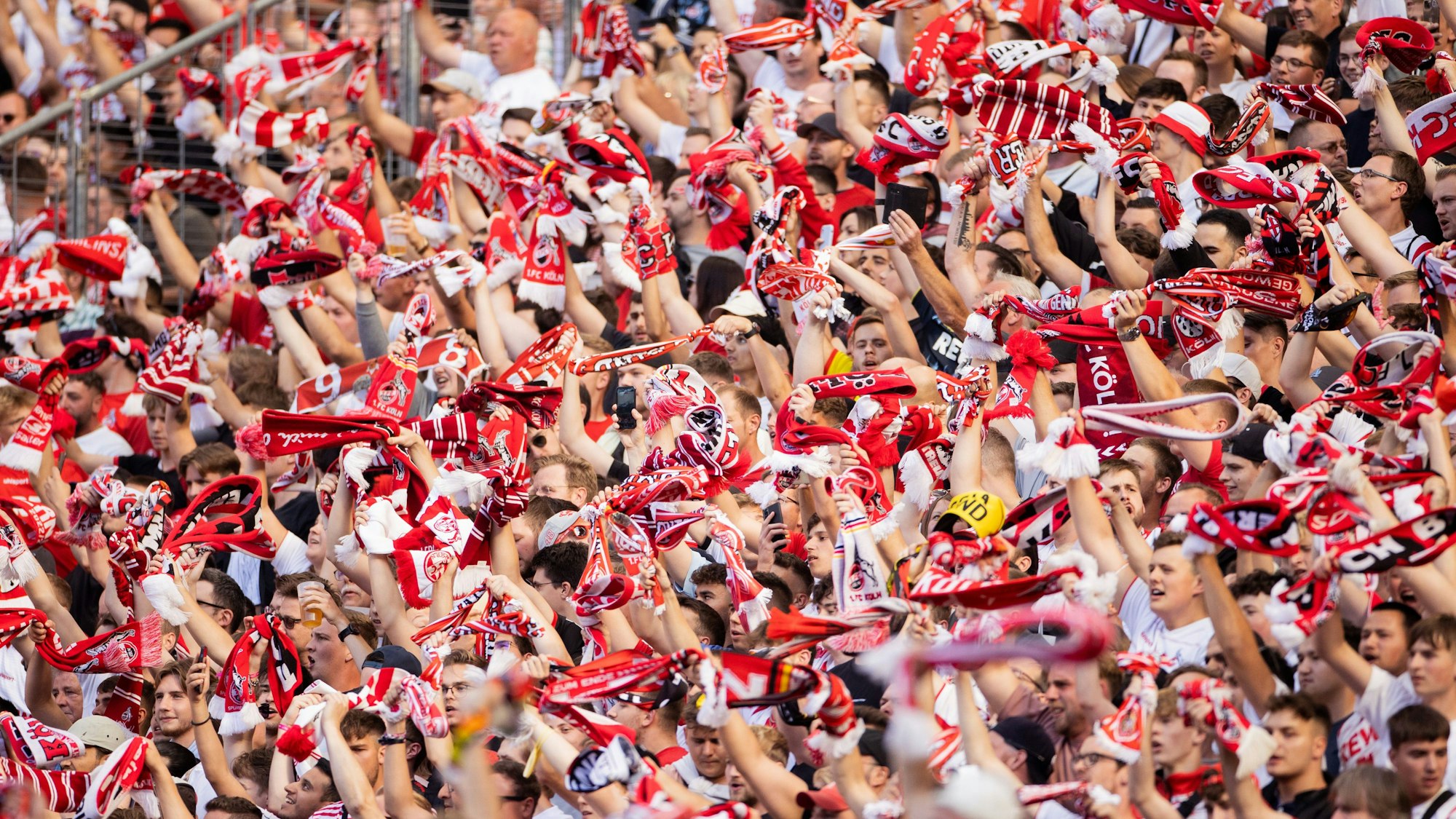 Fans des 1. FC Köln winken mit Schals.