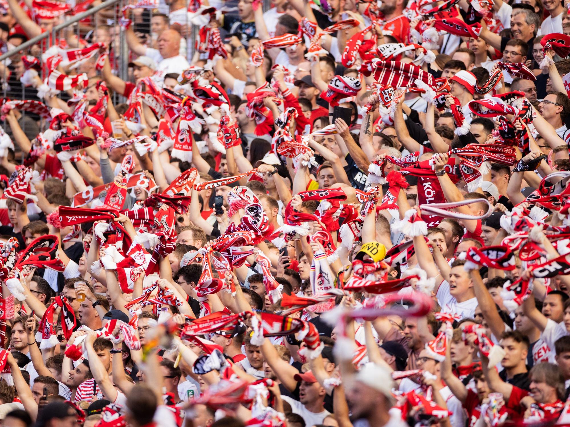 Fans des 1. FC Köln winken mit Schals.