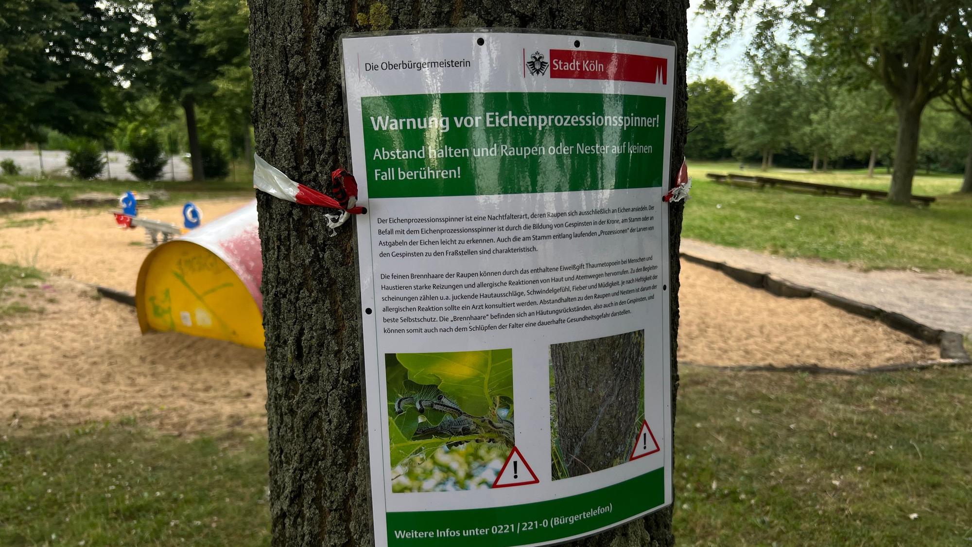 Warnhinweis der Stadt Köln an einer Eiche im Kölner Stadtteil Blumenberg