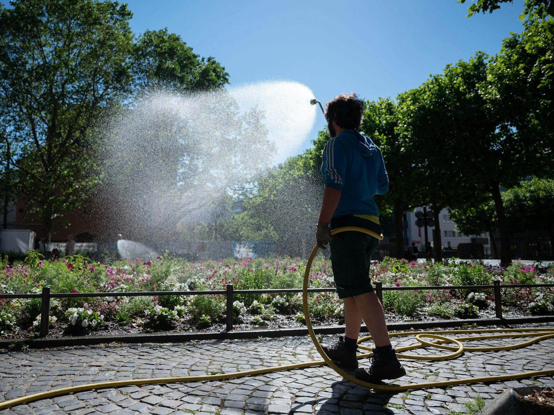 Ein Gärtner der Stadt Mainz gießt ein Blumenbeet in der Innenstadt. I