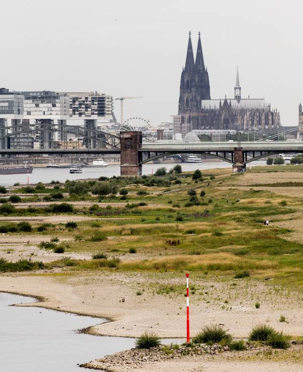 Blick auf den Rhein bei einem Pegel von 154 cm - im Hintergrund ist der Kölner Dom zu sehen. Der Klimawandel hat in Deutschland seit 2000 jährliche Schäden von durchschnittlich 6,6 Milliarden Euro verursacht.