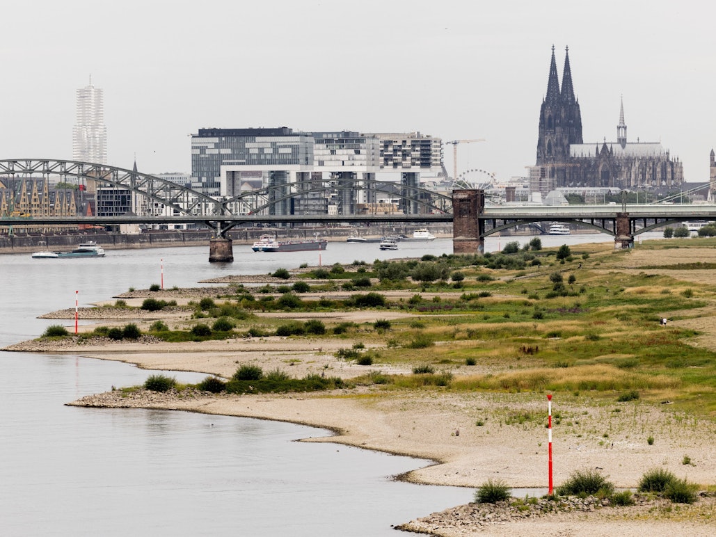 Blick auf den Rhein bei einem Pegel von 154 cm - im Hintergrund ist der Kölner Dom zu sehen. Der Klimawandel hat in Deutschland seit 2000 jährliche Schäden von durchschnittlich 6,6 Milliarden Euro verursacht.