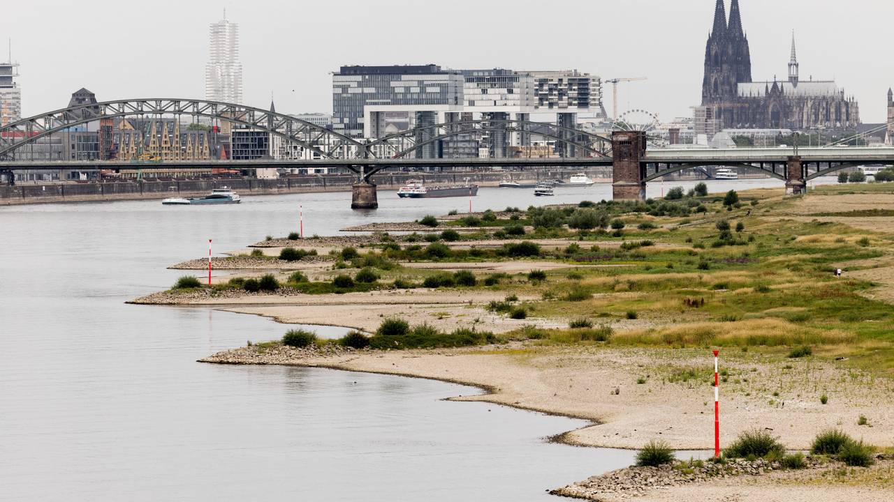 Blick auf den Rhein bei einem Pegel von 154 cm - im Hintergrund ist der Kölner Dom zu sehen. Der Klimawandel hat in Deutschland seit 2000 jährliche Schäden von durchschnittlich 6,6 Milliarden Euro verursacht.